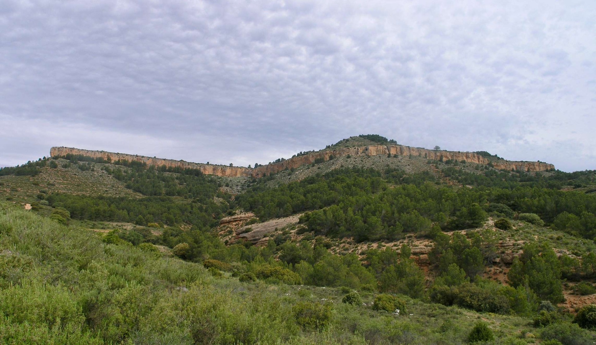 Foto de Santuario celtíbero de Peñalba de Villastar en Villastar, Teruel